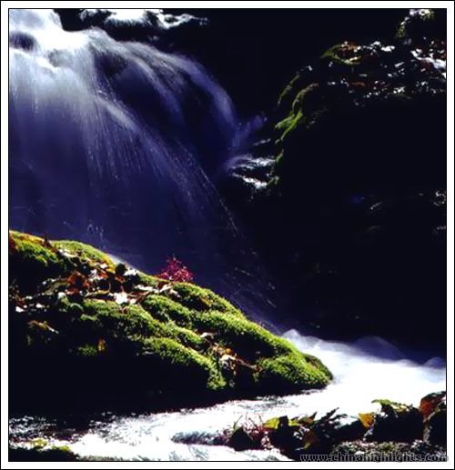 Jiuzhai y Huanglong Tour