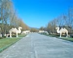Esencia de Beijing Tour B