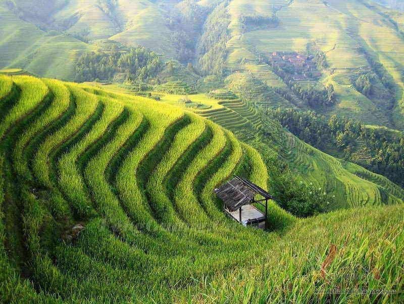 4 Días de Terraza de Arroz & Yangshuo