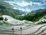 5 Días de Guilin Esencia & Longsheng Trekking