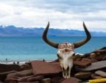 5 Días de Lhasa Esencias & Nakchu Tour
