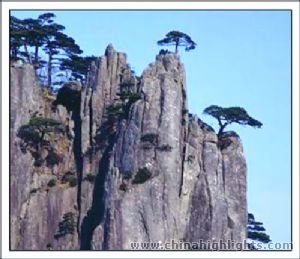 Montaña Amarilla
