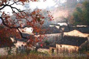 Tachuan
