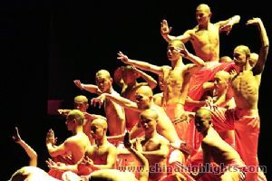 Kung Fu Show