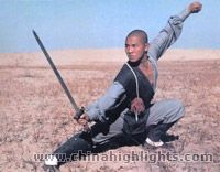 Shaolin Kung Fu y el Templo Shaolin