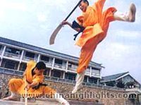 Shaolin Kung Fu