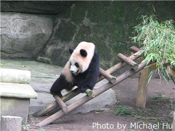 Parque Zoológico de Chongqing