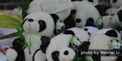 peluche de panda