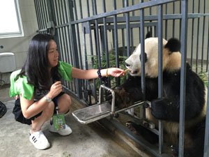Los Programas Custodios de Panda Gigante