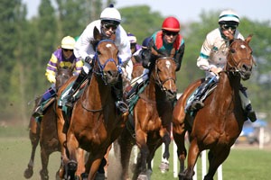 Hipódromo de Valle Feliz  