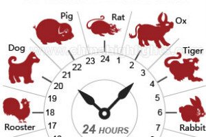 horas de horoscopo chino