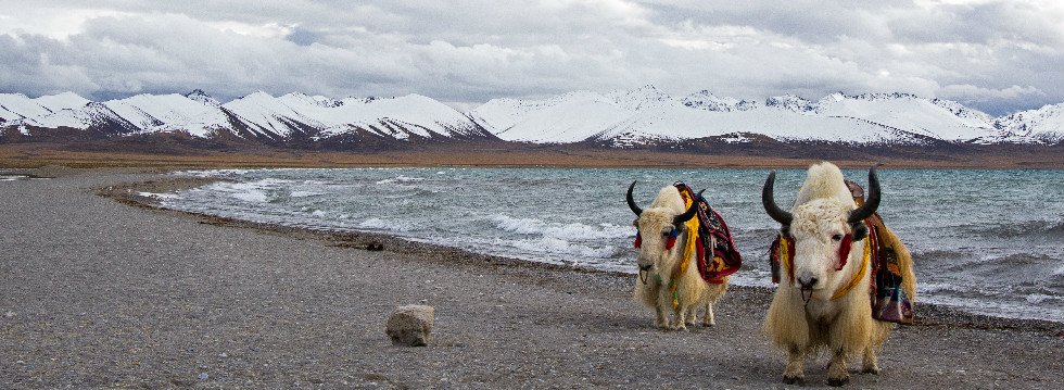 玉器